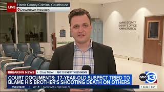 Celebrity Teen tried to blame 16-year-old brother's death on others: Court docs Profile