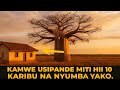 Kamwe Usipande Miti Hii 10 Karibu Na Nyumba Yako Kamwe Usipande Miti Hii 10 Karibu Na Nyumba Yako