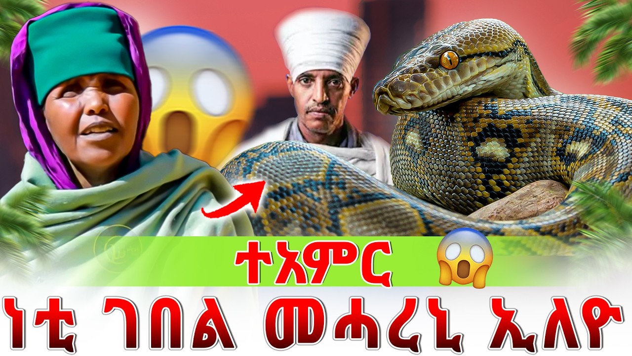 ተአምር 😱ነቲገበል መሓረኒ ኢለዮ!I told the dragon to have mercy on me.😱