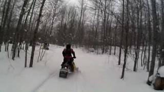 apple orchard 2.AVI
