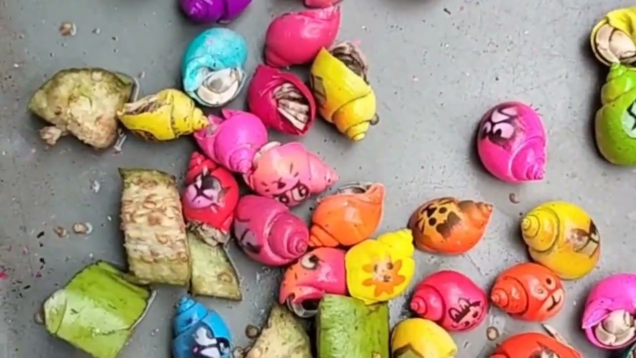 HUNTING SNAILS! Mencari hewan-hewan Lucu, Bekicot, Keong mas, Gurita Dan Cangkang Siput. #442