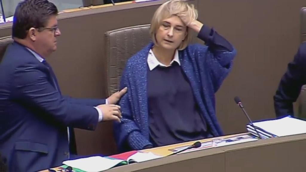 Minister valt flauw in Vlaams parlement
