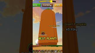 Atlantic Giant Pumpkin Method in Grow a Garden 2
