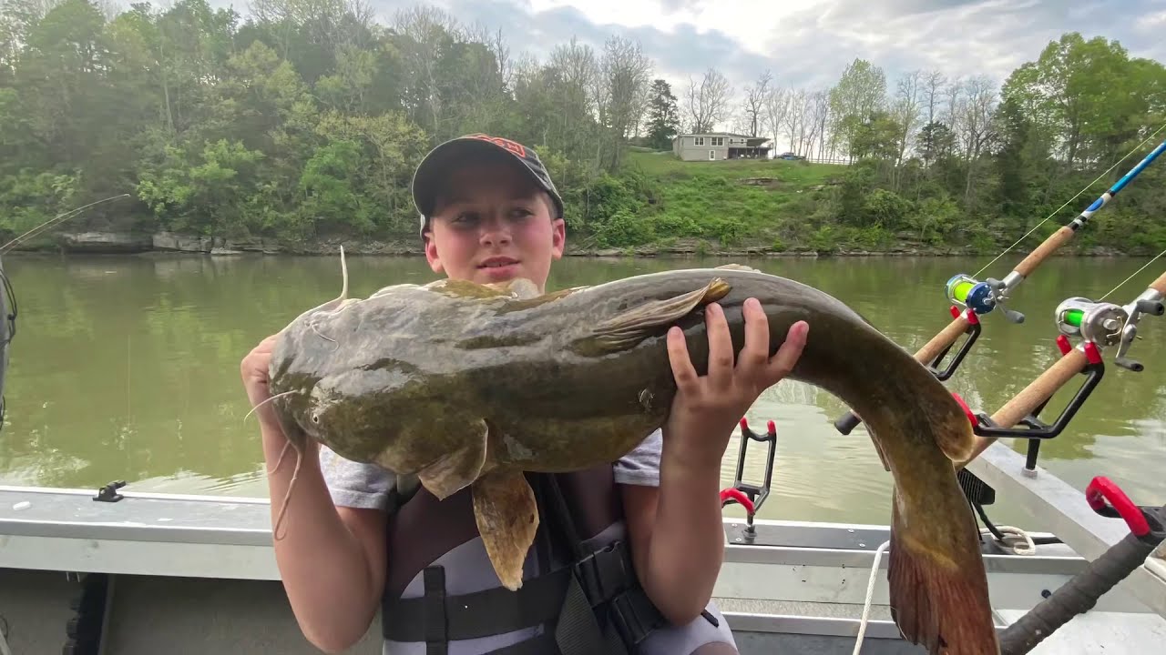 Live Bait Flathead Fishing 