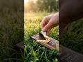 Satisfying Chocolate Break in Nature 🍫✨ ll #shorts #ytshorts