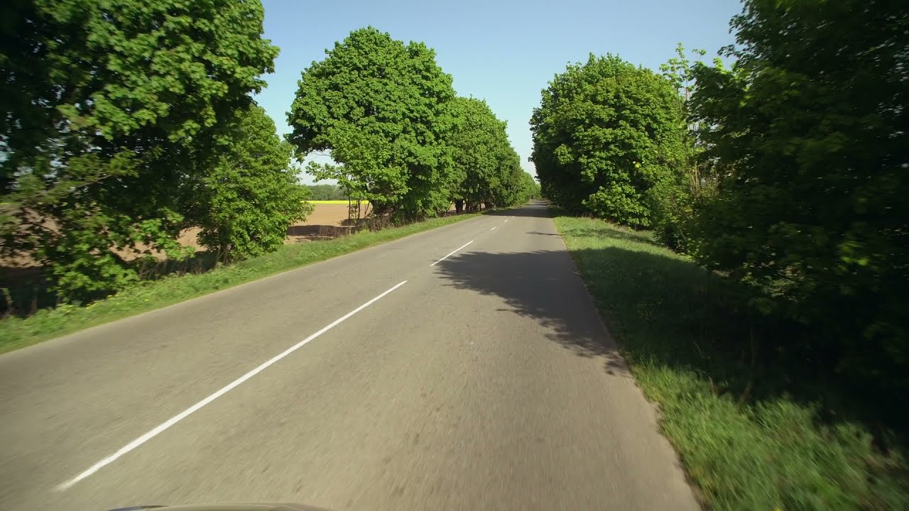 Traveling on an empty Road covered in Trees | Free Videos Library [No Copyright] Free Stock Footage