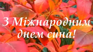 З Міжнародним днем синів! З Днем синів! 22 листопада Міжнародний День Синів!