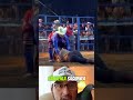 ¿ES ESTO UN SIMPLE ACCIDENTE POR IMPRUDENCIA O UN ACTO DE MALTRATO ANIMAL DISFRAZADO DE JUEGO