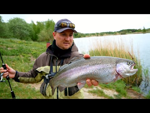 Sommerørreder i Simons