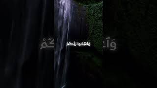 Download Lagu O' BELEIVERS!! || Calming Recitation || #quran #aesthetic #peace #ayah MP3