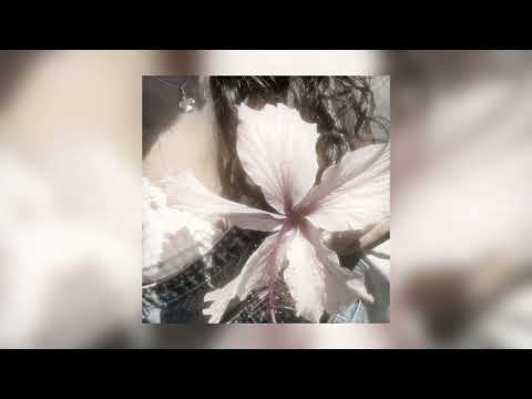 سالمة يا سلامة بدون موسيقى 