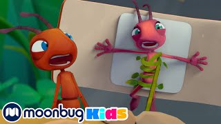 강력한 바람 | 장난스런 개미들 | Antiks | 인기동화 | 어린이 만화 | 문복키즈 | Moonbug Kids 인기만화
