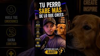 Datos de tu PERRO que tu veterinario sabe pero nunca te DICE #shorts  #viral #curiosidades #datos