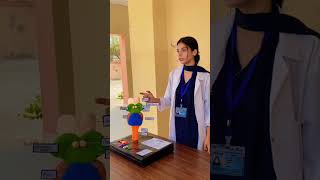 4th Semester DPT Projects | Neuroanatomy Showcase | KITAAS