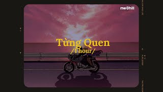 ♬ 1 hour/ Từng Quen (Lofi Lyrics) - Wren Evans ~ Cứ Coi Là Chúng Ta Chưa Từng Quen