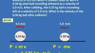 Celebrity Momentum - Sample Problem 1 Net Worth