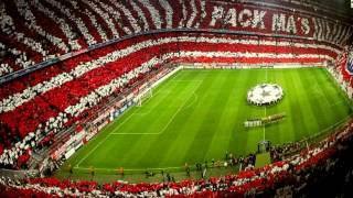Кошка мочит, болеет за FC Bayern München Кошка мочит, болеет за FC Bayern München