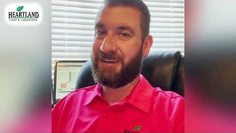 👨‍🏫Expert explanation on how to check your lawn for Armyworm damage🐛