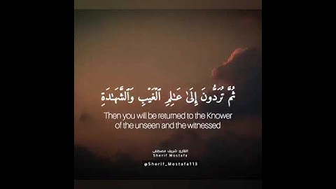 قرأن كريم بصوت القارئ شريف مصطفى .. صوت رائع يدخل القلب❤