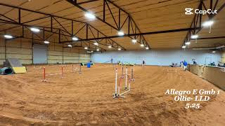 Allegro GmB 1 - Ollie - LLD - 5.25