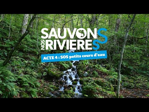 Sauvons nos rivières 4 - Protégeons les petits cours d’eau !