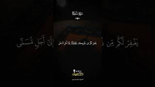 Beautiful Quran Recitation for Heart Serenity and Deep Soul Healing #HolyQuran #Peaceful