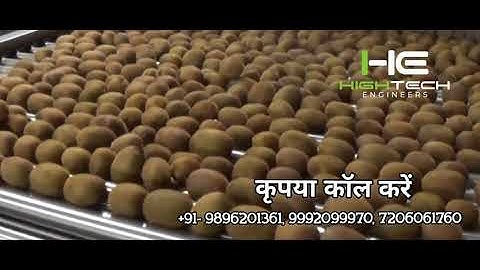 Kiwi  Grading Machine - 99920-99970 - Hi-Tech #kiwi #ambala