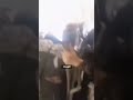 Iranian airliner forced to make emergency landing