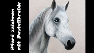 Pferd zeichnen / Pastellmalerei: Pferdeporträt [Teil 3] Finish screenshot 5