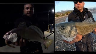 Ψάρεμα  στην Βόρεια Εβοια !!! @