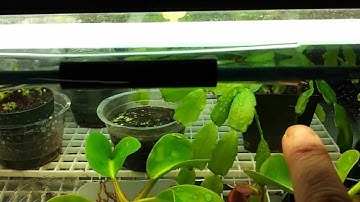 video-2012-11-13-17-05-56.mp4