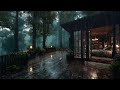 Pluie Paisible Dans La Chambre De La Forêt Ambiance Apaisante Pour Dormir mp3