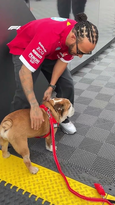 The King Of The Paddock Has Arrived! 🐶👑