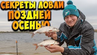 видео: Крупная ПЛОТВА прёт на фидер! Секреты ловли рыбы поздней осенью! ТАКТИЧЕСКИЙ ФИДЕР! картинка: Крупная ПЛОТВА прёт на фидер! Секреты ловли рыбы поздней осенью! ТАКТИЧЕСКИЙ ФИДЕР!