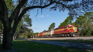 Florida East Coast Railway: Train 103 at Turnbull Bay with FEC 720
