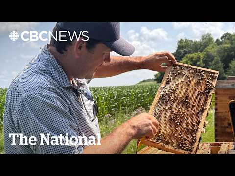 Looming Trump tariffs a sticky situation for Canadian <strong>honey</strong> producers