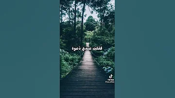 أسامة الواعظ قصيدة دعوت ربي دعوه أسامه الواعظ 