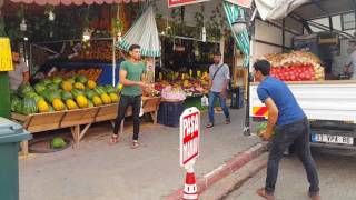 Karpuzun adresi paşa manav
