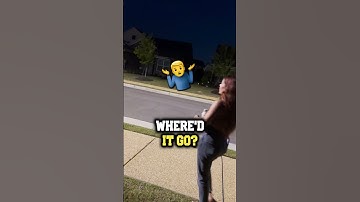 Wife Seeing This Bug For the First Time! | Tom Self