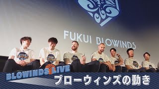 【BLOWINDS LIVE】ブローウィンズの動き