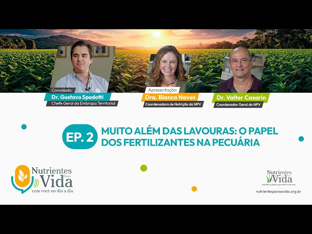 Talk Show da NPV | T3 EP2 - Muito além das lavouras: o papel dos fertilizantes na pecuária