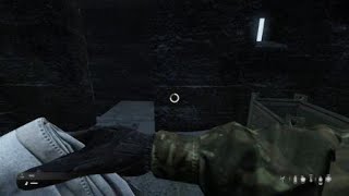 DayZ Silent Wolf's