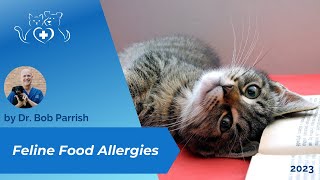 Feline Focused Food Allergy information