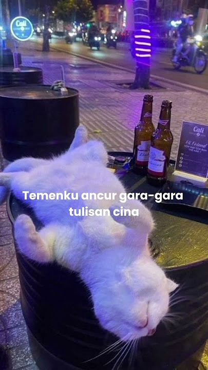 Buka kitab Cina, tutupnya akun judi berakhir di BUI 🫣😭#status #cat #lucu #story #memes #shortvideo