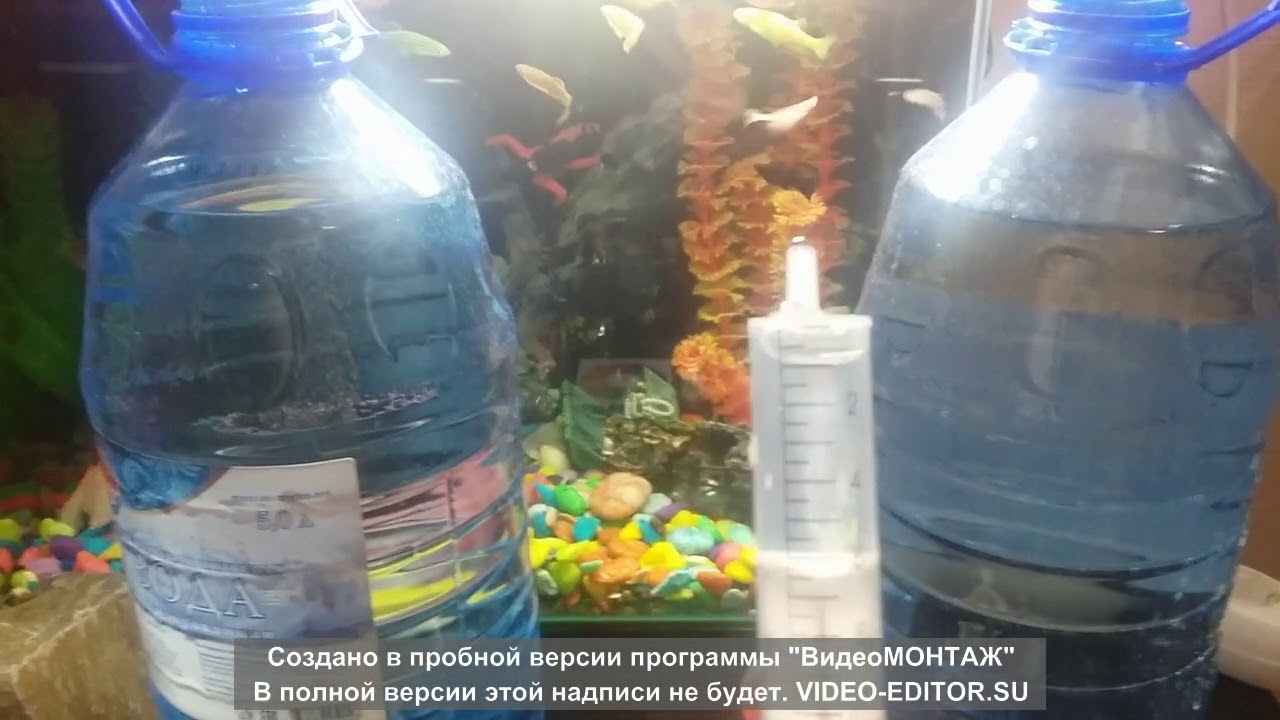 Шунгит- чудо камень? Правда или ложь.