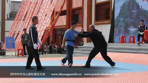 Chen Xu 2015 Wudangshan Taiji Push Hands Competition