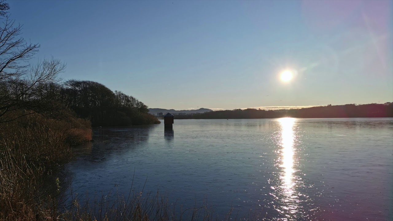 Robert Rønnes Poem for Bassoon and Harp 1984  2021