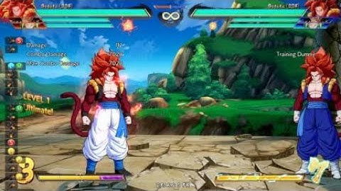 DRAGON BALL FighterZ SS4 Gogeta basic spark loop