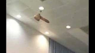 Penis copter