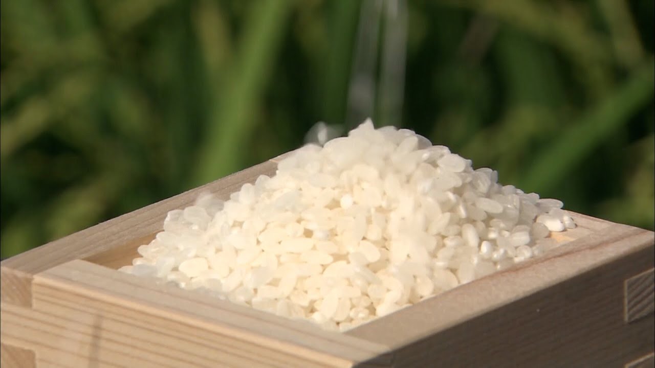 なぜコメ価格は上昇し続けるのか 「コンバインはベンツ」生産農家で見 